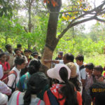 We are getting acquainted with our environment on a TERI organised field trip.