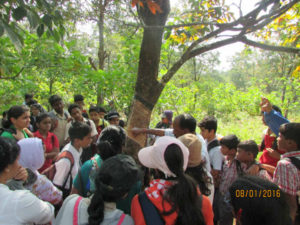 We are getting acquainted with our environment on a TERI organised field trip.